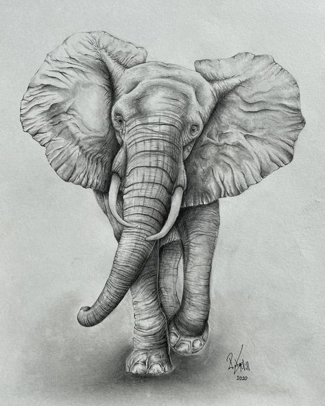 My pencil drawn elephant print! Available to buy on my Etsy Store! The original (A3) is also still available! Elephant Sketch, Elephant Artwork, Elephant Tattoo Design, Elephant Face, Pencil Drawings Of Animals, Animal Drawings Sketches, Elephant Drawing, Elephant Wall Art, Elephant Tattoo