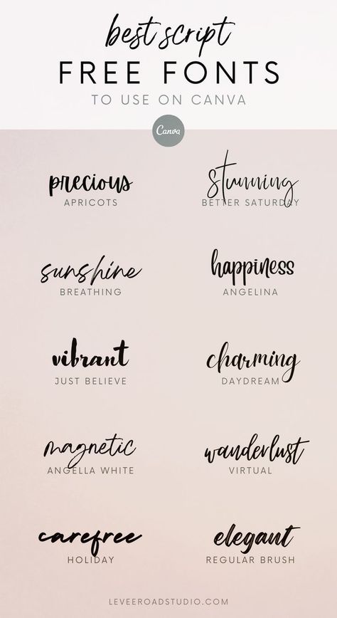 10 free commercial use fonts on Canva for branding. Fonts and Calligraphy Ideas, Typography Inspiration, & Wedding Fonts Font Canva Lettering, Free Cursive Fonts, Best Free Script Fonts, Typographie Logo, Party Font, Free Handwritten Fonts, Design Alphabet, Business Fonts, Idee Cricut