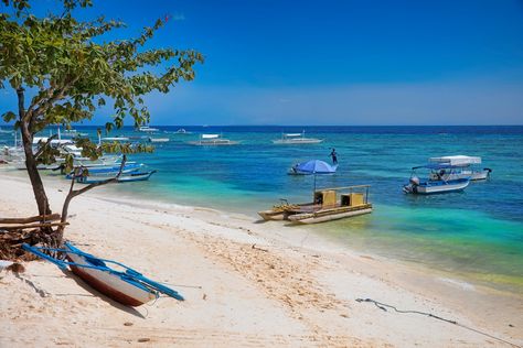 Panglao Island is one of Bohol's most renowned tourist destination. The Island is home to natural attractions such as Alona Beach and the Hinagdanan Cave. Find a selection of great Panglao Island Tours. Panglao Island, Alona Beach, Central Visayas, Bohol Philippines, Siargao, Clear Blue Water, Parasailing, Bohol, Island Tour