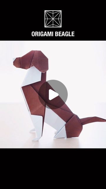 54K views · 4.2K likes | Paper Crafts 1101 on Instagram: "ORIGAMI BEAGLE   Designed by Seth Friedman Modified by Papercrafts 1101  #paperdog #papercrafting #origami #折り紙" Dog Origami, Origami Dog, Paper Dogs, Paper Stuff, Origami, Craft Ideas, Paper Crafts, On Instagram, Instagram