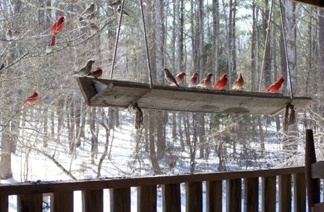 Rustic bird feeder Big Bird Feeder, Large Bird Feeder, Large Bird Feeders, Bird Feeder Station, Squirrel Feeders, Flea Market Gardening, Bird Feeding Station, Birds Sitting, Bird House Feeder