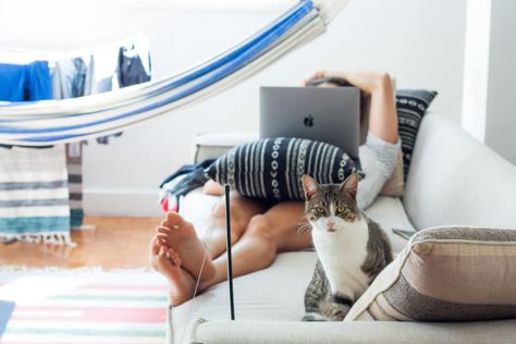 Want to work from home forever? These 10 companies are hiring remote-friendly jobs | Employee Benefit Adviser Free Tv And Movies, Free Movie Websites, Money Making Ideas, Healthy Cat, Pbs Kids, Cat Behavior, Look After Yourself, Cat Care, Happy Cat