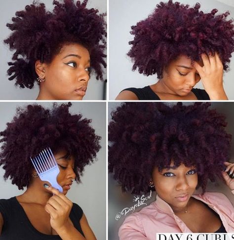 Plum Dyed Hair, Plum Natural Hair, Plum Hair Color On Black Women, Deep Plum Hair Color, Eggplant Colored Hair, Eggplant Hair, Deep Plum Hair, Red Hair Outfits, Hair Color Plum