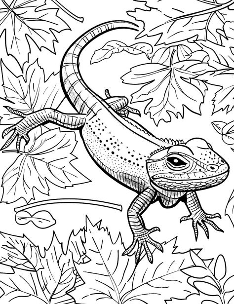 Alligator Lizard Among Leaves Coloring Page - An alligator lizard camouflaged among fallen leaves on a forest floor. Reptile Coloring Pages Free Printable, Alligator Coloring Page, Lizard Coloring Pages, Chameleon Changing Color, Pusheen Coloring Pages, Alligator Lizard, Leaves Coloring, Nature Guide, Colorful Lizards