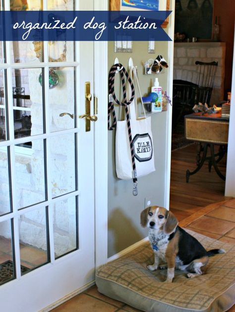 drop zone for the dog, Hi Sugar Plum Coat Closet Organization Ideas, Mudroom Dog Room, Family Command Centers, Dog Station, Craftsman Remodel, Closet Makeover Diy, Command Centers, Coat Closet Organization, Dog Organization