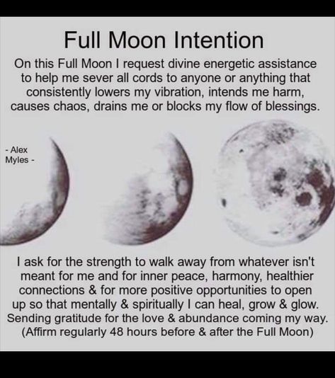 Full Moon Spells, Moon Spells, Moon Reading, Moon Quotes, New Moon Rituals, Moon Journal, Full Moon Ritual, Moon Calendar, Phases Of The Moon