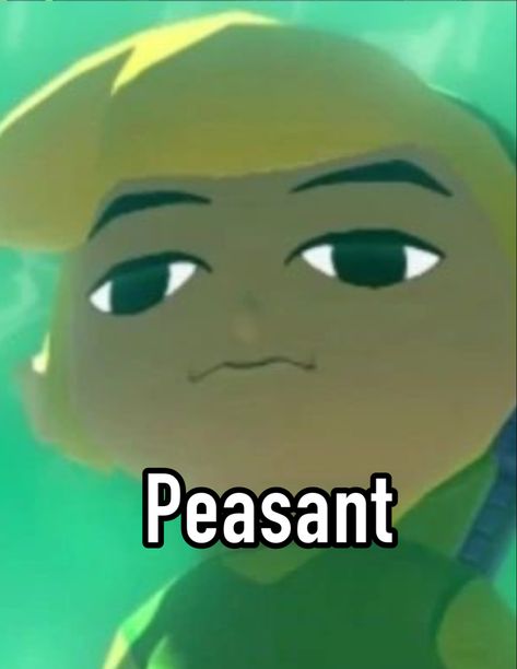 Wind Waker Link Pfp, Link Reaction Pic, Links Awakening Link, Link Wind Waker, Windwaker Link, Wind Waker Link, Link Totk, Link Zelda Art, Loz Link