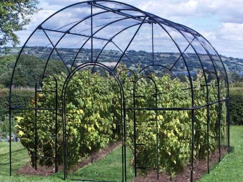 Roman Fruit Cage Garden Cages, Fruit Cages, Fruit Cage, Fruit Bushes, Potager Garden, Veg Garden, Garden Equipment, Love Garden, Garden Pests