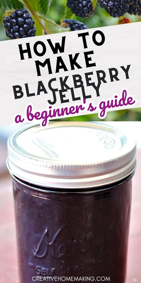 Surejell Blackberry Jelly, Blackberry Preserves Recipe Canning, Seedless Blackberry Jam Recipe With Pectin, How To Make Dewberry Jelly, Blackberry Jelly With Pectin, Blackberry Pepper Jelly, How To Make Blackberry Jelly, Liquid Pectin Recipes Jelly, Blackberry Jam Seedless