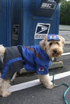 Postal Worker Costume, Postman Pat, Vintage Mailbox, Letter Boxes, Mail Boxes, Going Postal, Mail Carrier, You Have Mail, Postal Worker