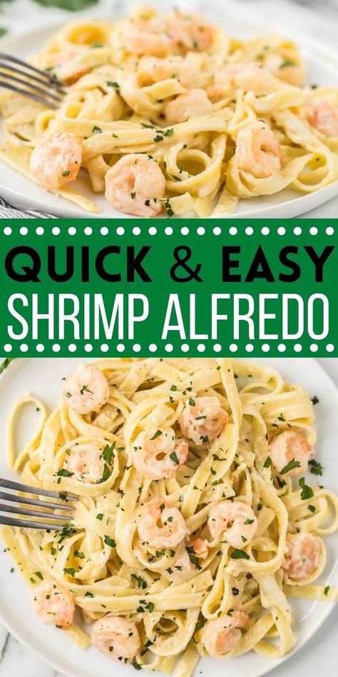 Easy Shrimp Alfredo Recipe comes together in minutes for an amazing meal. This homemade alfredo sauce is better than store bought and it taste great! Everyone will love this shrimp Alfredo recipe with pasta. #eatingonadime #shrimprecipes #pastarecipes #seafoodrecipes #easyrecipes Shrimp Fetuccini Alfredo Recipe, Shrimp Fettucine Alfredo Easy, Quick And Easy Shrimp Pasta Recipes, Shrimp Linguine Recipe Alfredo, Frozen Shrimp Pasta Recipes, Fettucini Alfredo Recipe With Shrimp, Seafood Alfredo Pasta Recipes, Creamy Shrimp Alfredo Pasta, Shrimp Alfredo Recipe Homemade