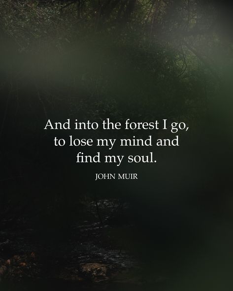 “And into the forest I go, to lose my mind and find my soul” — John Muir Into The Forest I Go To Lose My Mind, Lose Your Mind Find Your Soul, Forest Quotes, Tim Keller, Into The Forest I Go, John Muir Quotes, Into The Forest, Forest Bathing, Lose Your Mind