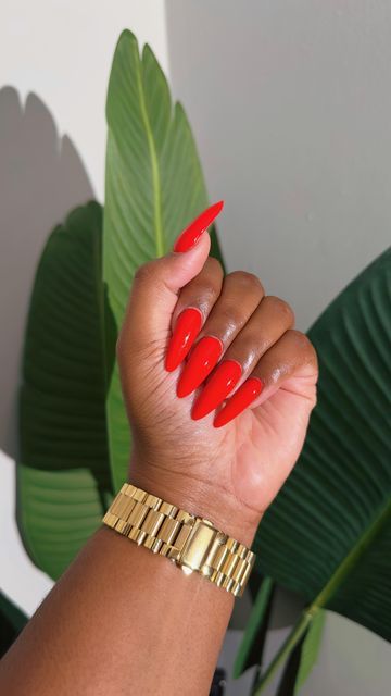 Tamara Renaye on Instagram: "Me 🤝🏾 Almond Nails | This red is giving. Wow! 😍❤️✨" Tamara Renaye, Almond Nails, Almond, Nails, Red, On Instagram, Instagram