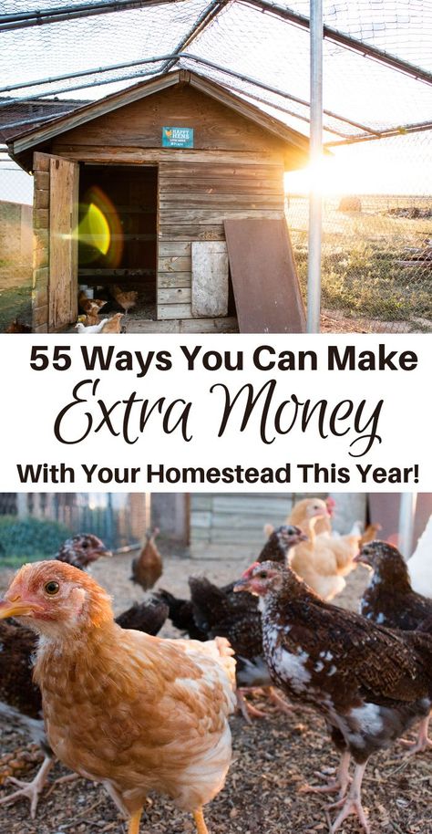 Barnyard Chickens, Make Money Homesteading, Diy Homesteading, Homesteading Animals, Raising Farm Animals, Homesteading Ideas, Homesteading Diy, Homestead Farm, Farm Business