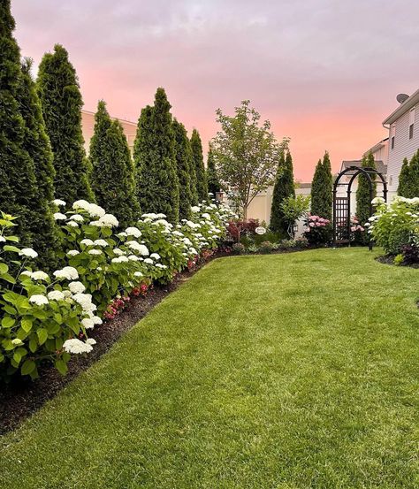 Ranch Landscape Ideas Front Yard, Tree Line Landscaping, European Backyard Landscaping, Faux Grass Patio, Front Patio Landscaping, Square Backyard Landscaping Layout, Cedar Landscaping, European Backyard, Country Driveway