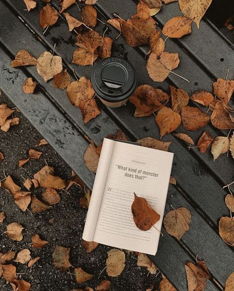 Fall Book Vibes Aesthetic, Fall Photography Wallpaper, Fall Photography Inspiration, Fall Bookish Aesthetic, Books Autumn Aesthetic, Autumn Inspiration Photography, Autumn Pictures Ideas, Fall Pics Ideas, Fall Photos Ideas