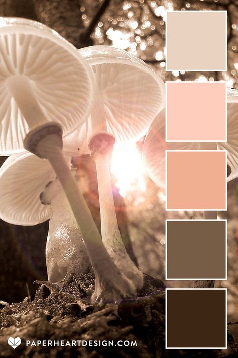 Mushroom Color Palette, Pantone 2024, Peach Color Palettes, Mushroom Color, Shades Of Maroon, Seeds Color, Color Schemes Colour Palettes, Shades Of Peach, 2024 Color