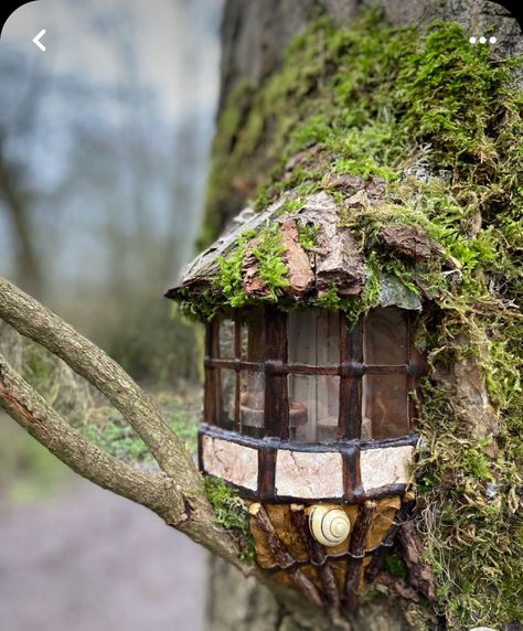 Fairy Garden Windows Diy, Fairy Garden Scene, Diy Fairy Window, Fairy Nook, Fairy Tree Houses, Fairy House Crafts, Garden Houses, Fairy House Diy, Fairy Garden Designs