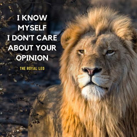 Off course More Leo Quotes on YouTube 👉 https://bit.ly/2T5cc7S #Leo #Lion #Lions #LeoFacts #LionQuotes #LeoZodiac #TheRoyalLeo #LeoQuotes #AttitudeQuotes #LeoAttitude #LionAttitude #LeoWoman #Leos #Leo♌ #LeoGang #LeoSeason♌ #LeoLife #LeoQueen #LionKing #Lioness Lioness Quotes, Lion Motivation, Motivational Signs, Emoticon Love, Reggae Art, Lion Live Wallpaper, Leo Zodiac Quotes, Leo Quotes, Leo Zodiac Facts