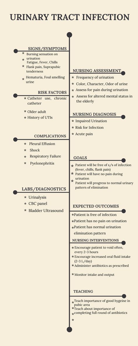 UTI concept map, Pneumonia concept map, concept map template
#nursingschool #nursingconceptmap
#conceptmap #nursing Nursing Concepts, Nursing Study Plan, Nursing Study Templates, Sensory System Nursing, Concept Maps, Pharmacology Nursing Notes, Nursing School Notes Template, Nurse Template, Medsurg Study Template