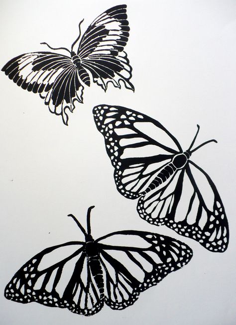 Butterfly proof Bird Pencil Drawing, Butterfly Inspiration, Beautiful Insects, Linoleum Print, Linocut Printmaking, Lino Art, Print Butterfly, Linocut Art, Butterfly Drawing