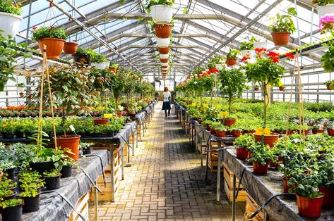 How To Start A Garden Center? - Coastal Steel Structures Start A Garden, Flower Business, Starting A Garden, Garden Nursery, Better Homes And Garden, Gardening Advice, Backyard Inspo, Local Farm, Buy Plants