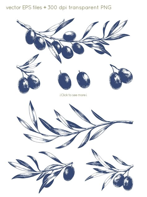 Hand drawn olive collection #individual#elements#projects#stationery Olive Branch Artwork, Olive Branch Botanical Illustration, Olive Tattoo Minimalist, Fine Line Olive Branch, Olive Branch Drawing, Olive Tree Tattoo, Olive Branch Art, Olive Tree Tattoos, Olive Branch Design