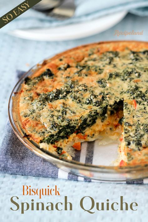 An easy and delicious crustless spinach quiche made with Bisquick, seasoned fluffy eggs, onions, cheese, and an impossible crust that makes itself! The quiche is great for a quick Sunday brunch, breakfast, lunch, or dinner. Bisquick Impossible Spinach Pie, Quiche With Bisquick Crust, Crustless Quiche With Bisquick, Bisquick Crustless Quiche, Bisquick Spinach Quiche Recipes, Impossible Quiche Recipes, Impossible Quiche Bisquick, Spinach Quiche Recipes Crustless, Bisquick Quiche Recipes