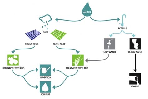 Diagram of water management cycle in WaterShed Water Cycle Diagram, Sponge City, Solar Decathlon, Map Diagram, Ecology Design, Landscape Architecture Drawing, Eco Architecture, Architecture Concept Diagram, Concept Diagram