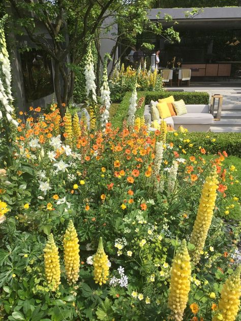 Northeast Garden Ideas, Pink And Yellow Garden, Orange Flowers Garden, Orange Flower Garden, Yellow Flowers Garden, Yellow Flower Garden, Flower Garden Borders, Backyard Flowers Garden, Orange Garden