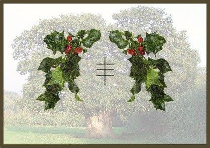 Mistletoe Spiritual Meaning Druid Alphabet, Elements Directions, Elemental Signs, Ogham Alphabet, The 4 Elements, Magic Portal, Zodiac Meanings, The Four Elements, Mighty Oaks