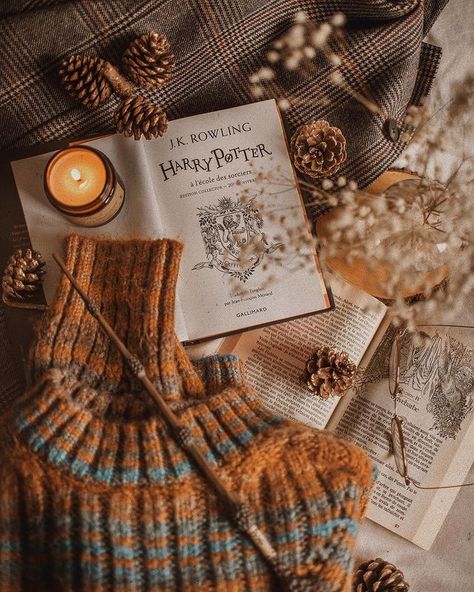 Autumn Hogwarts Aesthetic, Hogwarts Autumn Aesthetic, Harry Potter Autumn Aesthetic, Halloween Flatlay Photography, Harry Potter Autumn, Fall Book Aesthetic, Autumn Studying, Autumnal Book Aesthetic, Book Photography Ideas