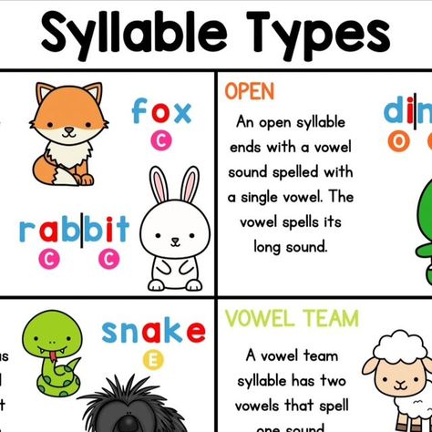 Emily Garcia | Education to the Core on Instagram: "Do you know all the syllable types?  Use our Syllable Types Instructional Posters to provide visual support and explicit examples for each syllable. The best thing about this amazing resource is that each syllable has its own poster. You can target the syllable that directly matches the phonics pattern your students are learning.  Comment SYLLABLES and I'll send the Premium link to these posters! 😀" Types Of Syllables, Emily Garcia, Open Syllables, Syllable Types, Vowel Sound, Vowel Team, Reading Classroom, Reading Resources, Activity Pack