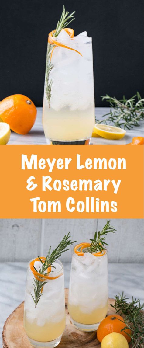 Meyer Lemon and Rosemary Tom Collins - My Kitchen Love Kid Friendly Drinks, Craft Cocktail Recipe, Lemon Cocktail, Lemon Drink, Tom Collins, Lemon Rosemary, Easy Drink Recipes, Best Cocktail Recipes, Delicious Drink Recipes