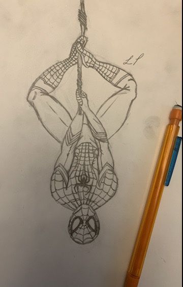 Spider Men, Spiderman Art Sketch, Easy Drawings Sketches, Sketches Easy, Spiderman Art, Dove Cameron, Book Art Drawings, Disney Drawings, Art Drawings Sketches