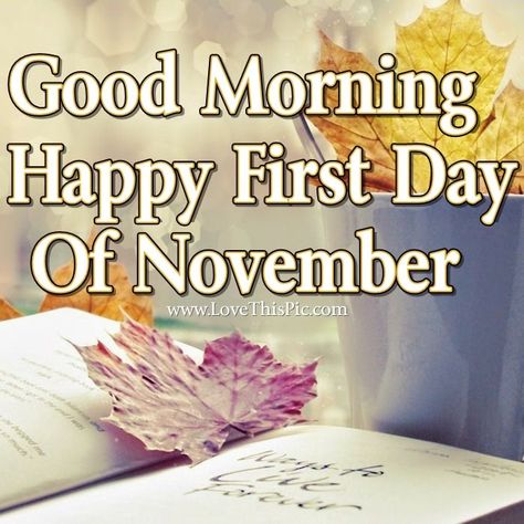 Good Morning Happy First Day Of November good morning november hello november… Good Morning November, Happy First Day Of November, Happy New Month November, Hallo November, First Day Of November, November Pictures, November Images, New Month Wishes, Good Morning For Him