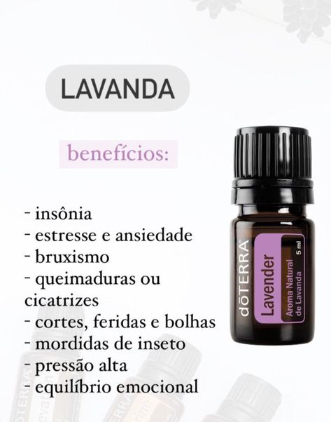 Lavanda Doterra, Do Terra, Doterra Lavender, Doterra Essential Oils, Doterra, Aromatherapy, Essential Oils, Lavender, Fragrance