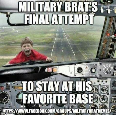 Military Brats Camping Trip With Friends, Bad Luck Brian, Pilot Humor, Pr Campaign, Funny Cute Memes, Military Brat, Funny Pilot, Aviation Humor, Army Brat