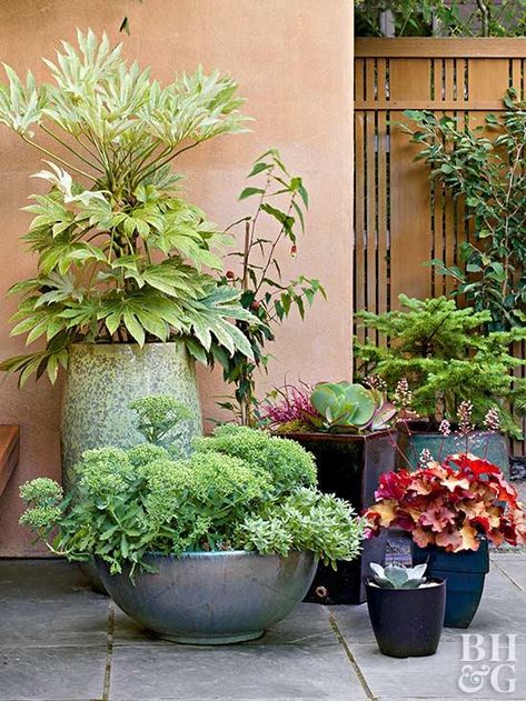 Take advantage of every inch of green space with these small garden strategies! #landscaping #garden Small Plant Garden, Potted Front Yard Landscaping, Gardening In Pots, Deck Plants, Small Garden Pots, Omelet Muffins, Courtyard Patio, Gouache Tutorial, Space Garden