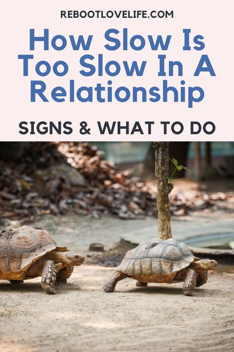 Dating Slow Relationships, How To Go Slow In A Relationship, Taking A Relationship Slow, How To Take Things Slow In A Relationship, Going Slow In A Relationship, How To Slow Down A Relationship, How To Take A Relationship Slow, How To Take It Slow In A Relationship, How To Take Things Slow Relationship