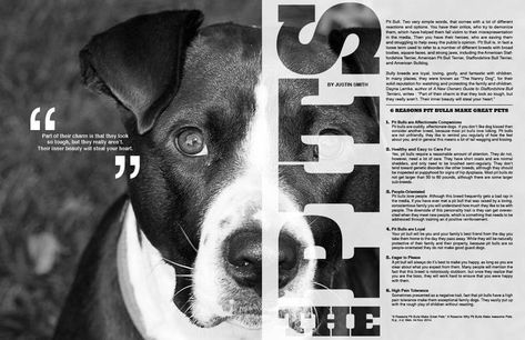 Animal Magazine Design, Article Design Layout Magazine Spreads, Animal Magazine Layout, Editorial Spread Design, Magazine Spread Design, Magazine Page Design, Magazine Typography, Coffee Table Book Design, Justin Smith