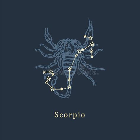 Scorpio Zodiac Illustration, Zodiac Scorpio Aesthetic, Scorpio Astrology Art, Scorpio Zodiac Aesthetic, Constellation Scorpion, Scorpion Constellation, Scorpio Illustration, Scorpion Illustration, Scorpio Zodiac Art