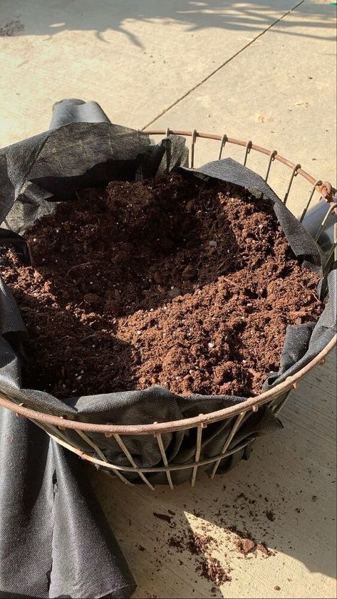 So this past fall I decided to try to turn an everyday item into a flower pot. I choose my wire basket because it screams of summer and fall to me. Instead of carrying my garden vegetables it now held my mums! Materials Needed All you need is 4 items!Wire BasketLandscape FabricPotting SoilAnnuals Locate a Temporary Flower Pot So I wanted to incorporate a rustic farm look into my porch decorations this year. In previous years, I filled this wire basket with pumpkins or mini pumpkins.… Old Wire Baskets Ideas, Wire Basket Decor Ideas, Wire Basket Decor, Basket Decor Ideas, Large Wire Basket, Gardening Design Diy, Hanging Wire Basket, Buffalo Plaid Christmas Decor, Wine Bottle Topper