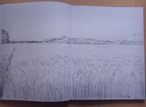 Grassy Field Drawing, Meadow Drawing Pencil, Field Drawing Pencil, Cornfield Drawing, Wheat Field Drawing, Field Sketching, Illustration Art Drawing Sketches, Corn Drawing, Field Drawing