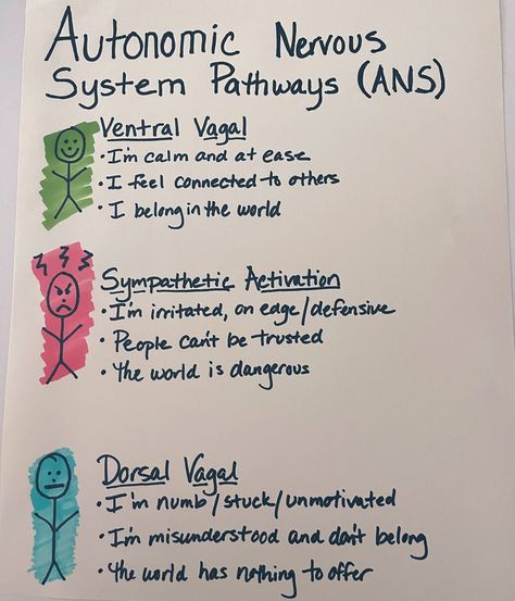 Brain Nervous System, Dr Nicole Lepera, Nicole Lepera, Physical Therapist Assistant, Nursing School Motivation, Nurse Study Notes, Autonomic Nervous System, Therapeutic Activities, Chakra Yoga