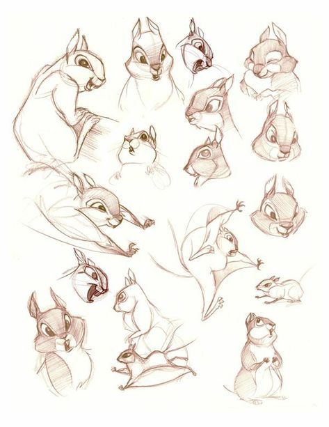 Chipmunk Character Design, Woodland Animals Drawing, Chipmunk Sketch, Squirrel Sketch, Squirrel Character, Squirrel Drawing, Animation Drawing Sketches, Squirrel Illustration, Life Drawings