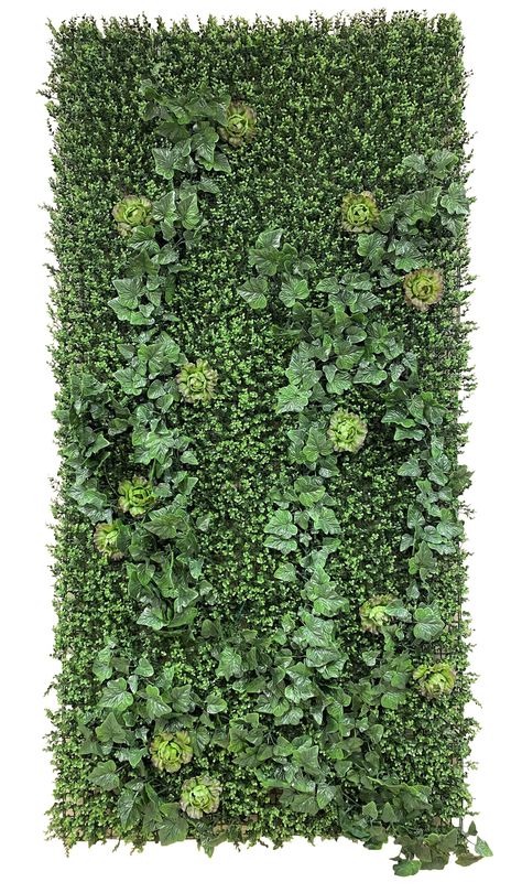 Green Walls – New Growth Designs Boxwood Wall, Outdoor Greenery, Artificial Green Wall, Ivy Vine, Commercial Landscaping, Plants Wall, Landscape Plan, Green Walls, Wall Installation