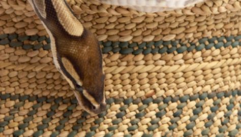 How to Weave a Grass Basket Weaving Grass Baskets, Weaving With Grasses, Sweet Grass Baskets, Weave A Basket, Sea Grass Basket, Rush Baskets, Home Decor Making, Sweetgrass Basket, Grass Art