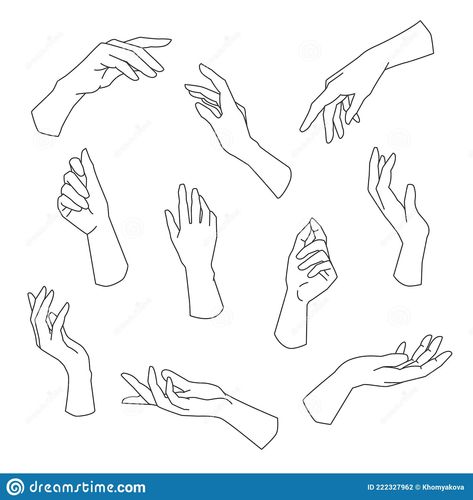 Hands Gripping, Hands Vector Illustration, Hand Gesture Drawing, Hands Vector, Hand Dancing, Female Hands, Life Drawing Reference, Fairy Drawings, Hand Lines