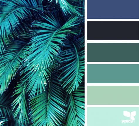 Color Frond Petrol Color Palette For Home, Seeds Color, Palette Design, Room Paint Colors, Room Color Schemes, Design Seeds, Paint Colors For Living Room, Living Room Colors, Green Design